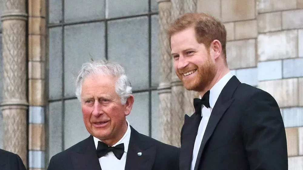 Nach Blitzbesuch bei König Charles: Prinz Harry wieder auf Heimreise