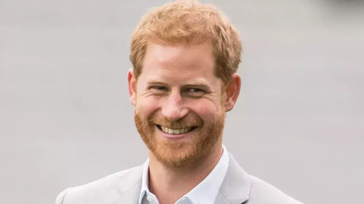 Harry findet die neue Satire-Serie lustig