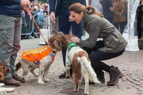 Kate Middleton am 11 Juni 2019 in Cumbria @Gettyimages