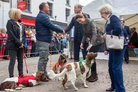 Kate Middleton streichelt einen Hund @Gettyimages