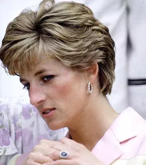 Prinz William zum Beispiel besitzt viele Schmuckstücke von seiner verstorbenen Mutter Lady Diana.